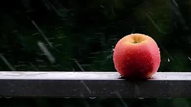 高清实拍雨滴苹果雨景视频的预览图